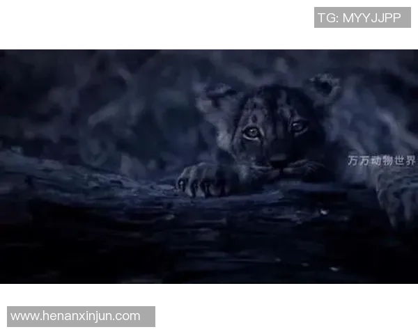 狮王传奇崛起：从青训场到世界足坛的耀眼之星